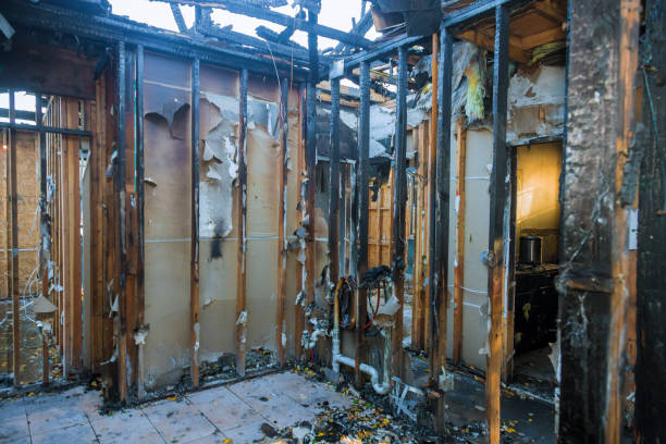 Professional Fire Damage Assessment technician working in Lawton, IA
